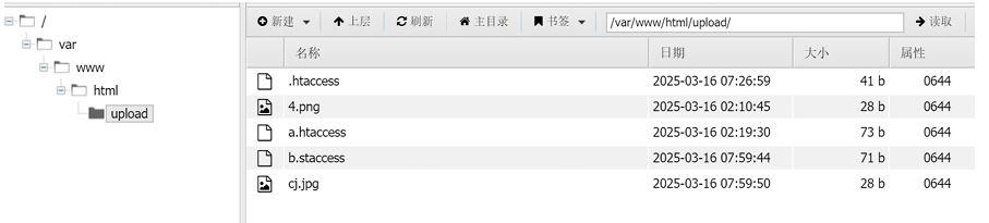 image-20250507160315872