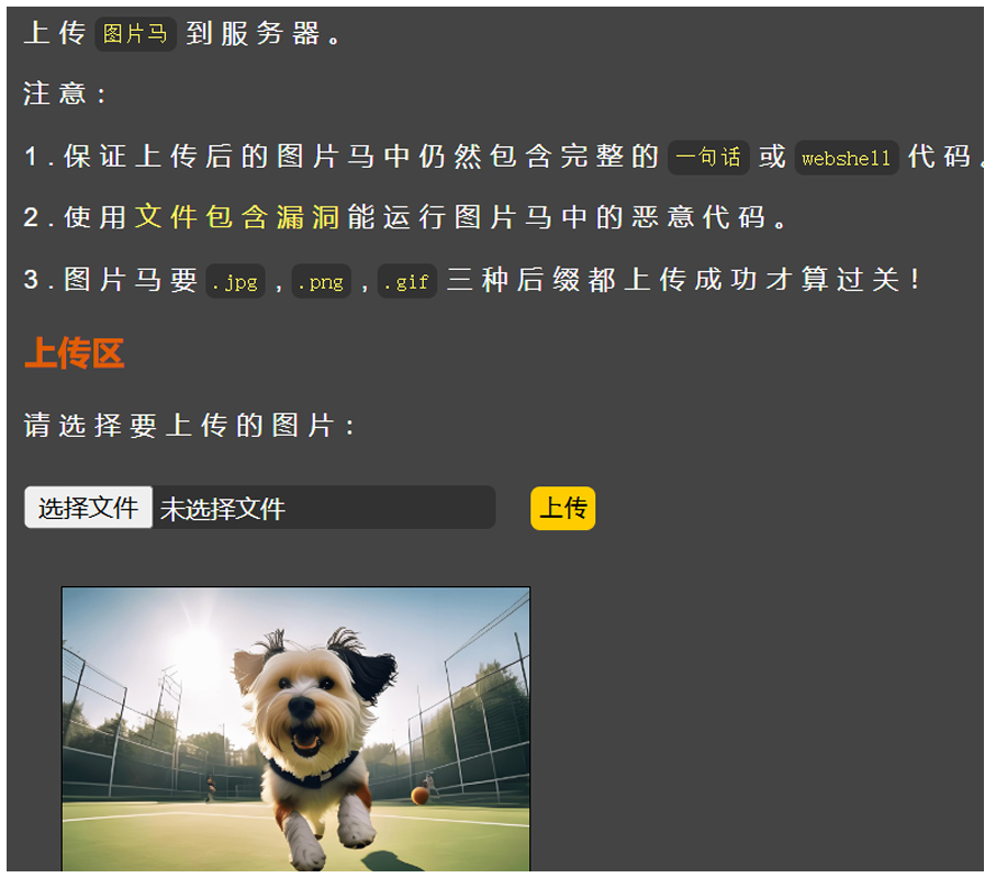 image-20250508165915516