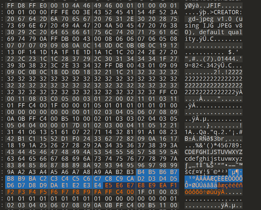 image-20250509135448273